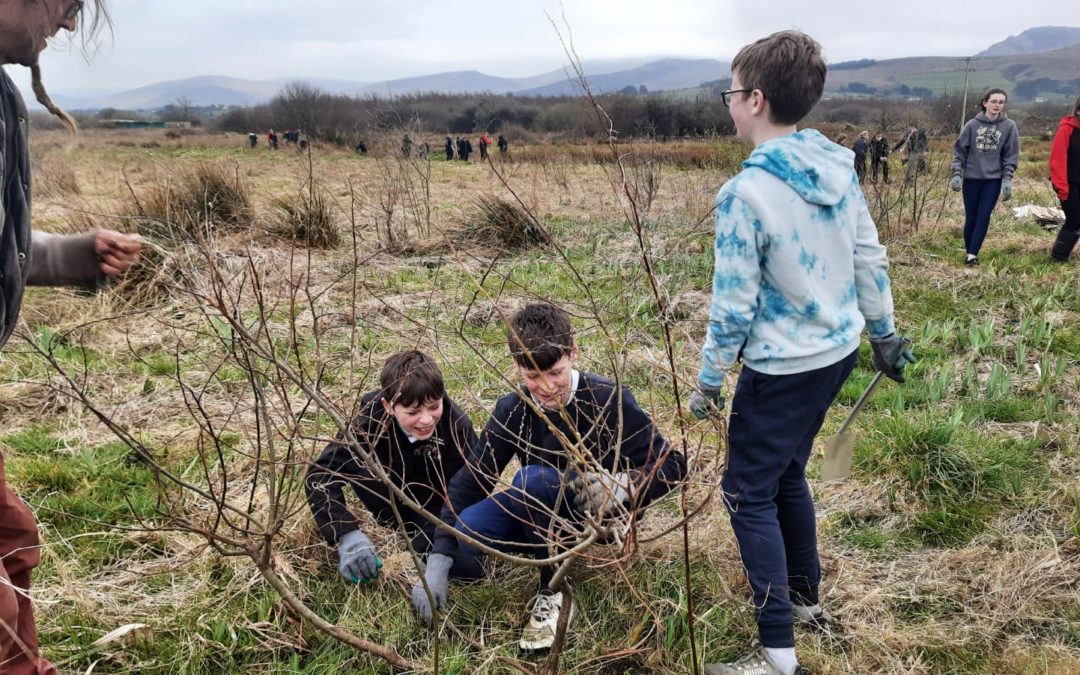 Castlegregory Community Tree Planting