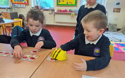 Bee-Bots – Junior Infants