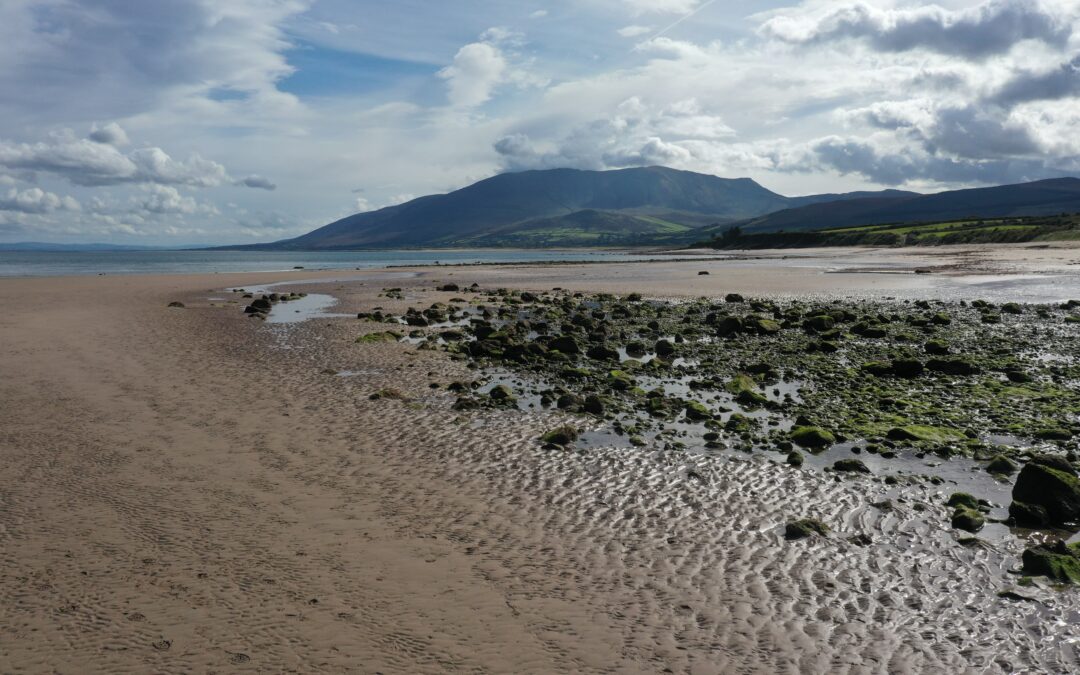 A Nursery Beneath the Waves