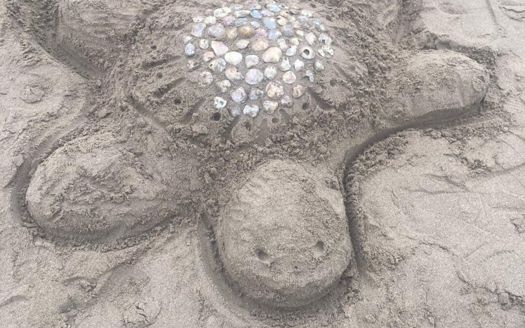 Ocean Champions Project