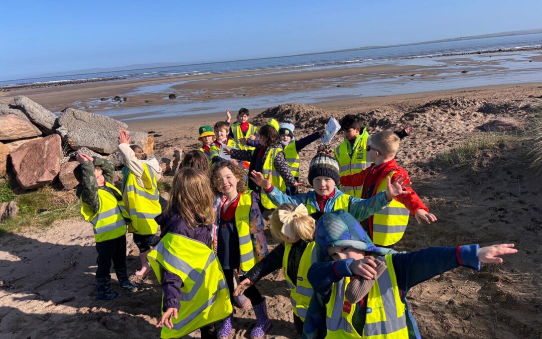 A Sunny Beach Adventure for Our Junior and Senior Infants