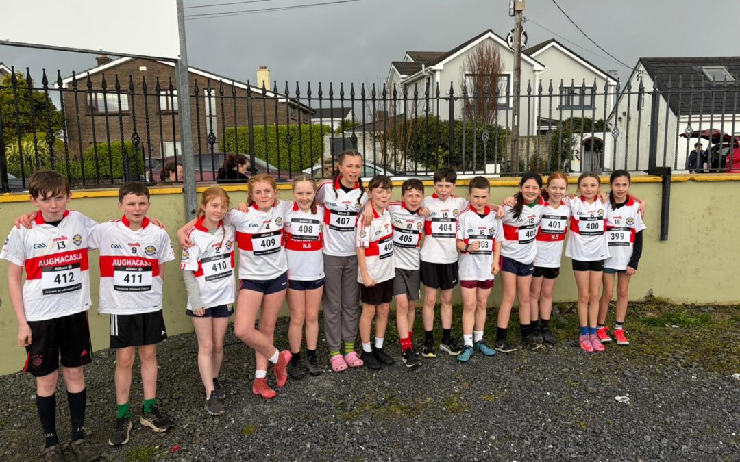 Soccer Blitz and Cross Country