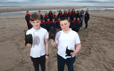 A Nursery Beneath the Waves – Radio Kerry and Kerry’s Eye