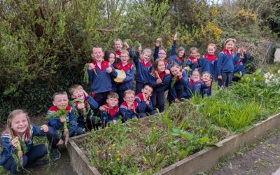 Rang a hAon makes carrot soup