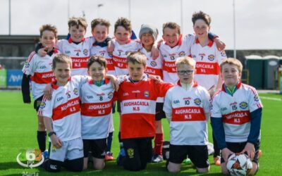 Kerry FC Primary Schools Tournament