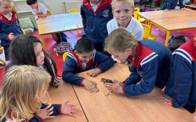 A Special Visit to the Infant Classroom